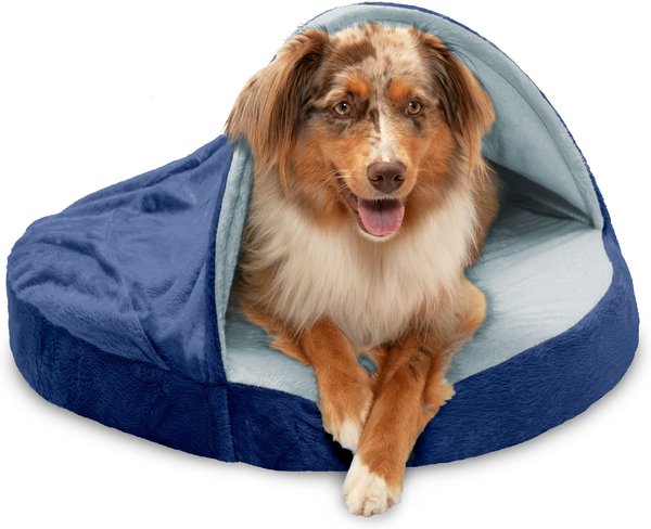 Chewy orthopedic dog outlet bed