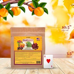 Lafeber Pellet-Berries Sunny Orchard Parrot Food, 2.75-lb bag slide 2 of 7