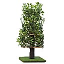 On2Pets 60-in Large Square Modern Cat Tree, Green