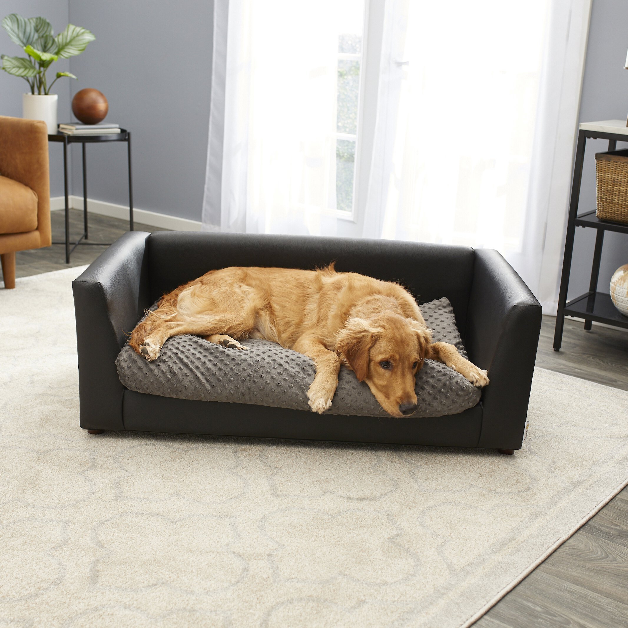 My dog is 100 pounds would the large Keet Fluffly Deluxe Sofa Dog Bed w ...