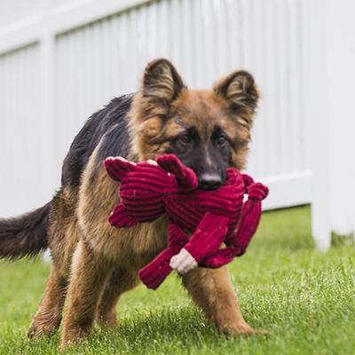 Show full view: HuggleHounds Woodlands Durable Plush Corduroy Knottie Fox Squeaky Dog Toy, Small slide 3 of 11