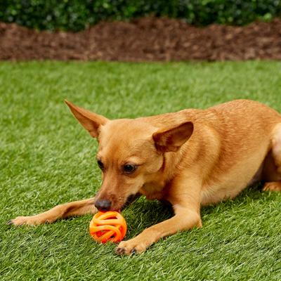 Show full view: Chuckit! Air Fetch Ball 2-Pack Dog Toy, Small slide 3 of 7