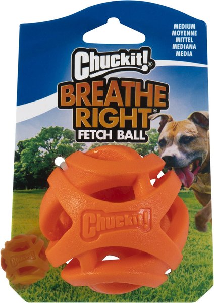 chewy dog ball