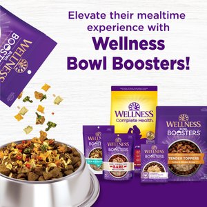 Wellness CORE Bowl Boosters Bare Turkey Freeze-Dried Dog Food Mixer or Topper, 4-oz bag