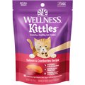 Wellness Kittles Natural Grain-Free Salmon & Cranberries Crunchy Cat Treats, 6-oz bag
