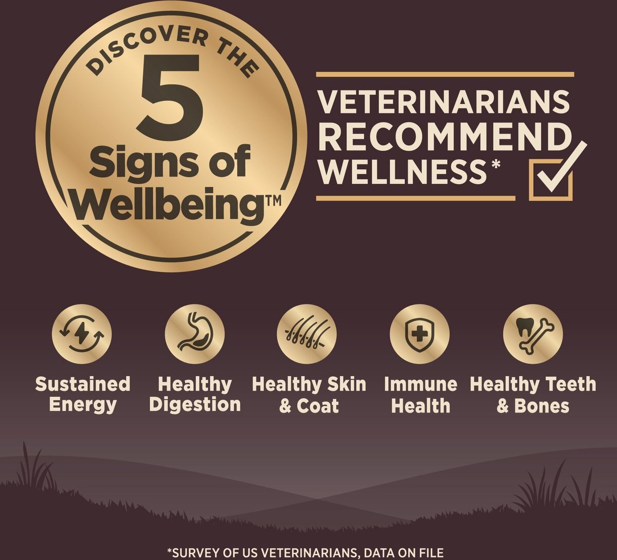 Wellness core 2024 senior dog food