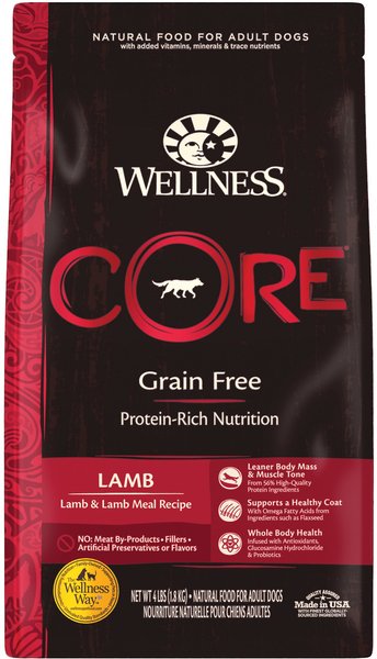 WELLNESS CORE Grain Free Lamb Recipe Dry Dog Food 4 lb bag