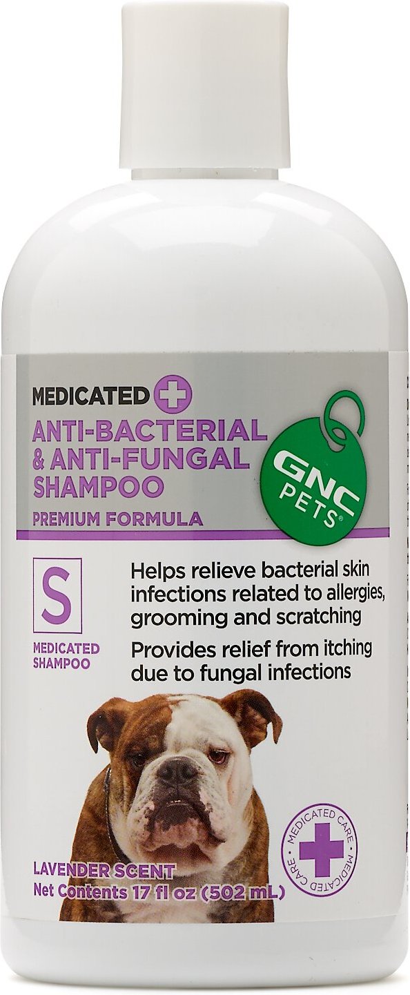 etiket diskret Og hold GNC PETS Anti-Bacterial & Anti-Fungal Medicated Dog Shampoo, Lavender  Scent, 17-oz bottle - Chewy.com