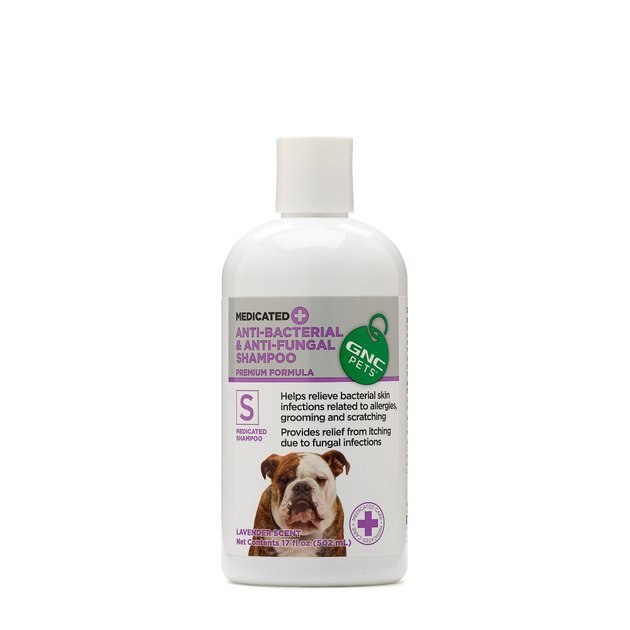 GNC PETS Anti-Bacterial & Anti-Fungal Medicated Dog Shampoo, Lavender ...