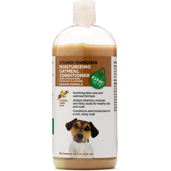 english bulldog feeding schedule