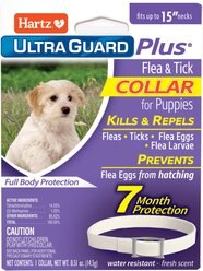 Hartz UltraGuard Plus Dog Flea & Tick Collar for Dogs, X-Small & Toy & Small Breeds, 1 Collar (7-mos. supply)