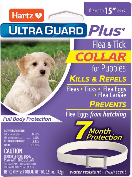 Hartz UltraGuard Plus Dog Flea & Tick Collar for Dogs, X-Small & Toy & Small Breeds, 1 Collar (7-mos. supply) slide 1 of 9