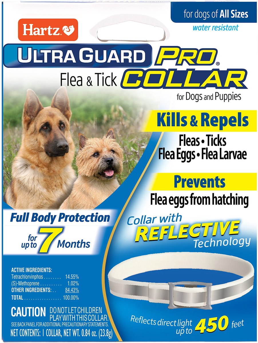 Are hartz 2024 flea collars safe