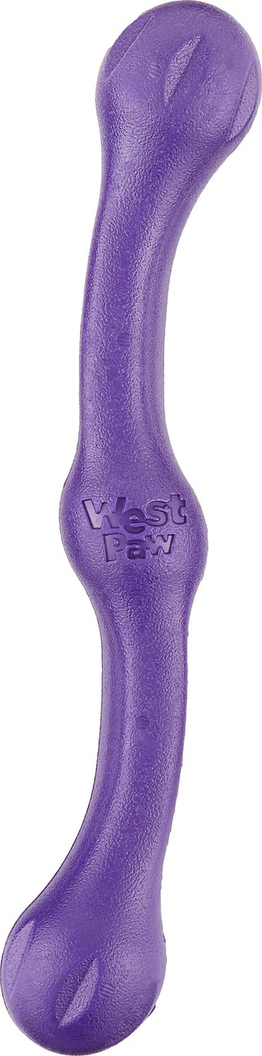 WEST PAW Echo Collection Zwig Dog Toy, Eggplant - Chewy.com