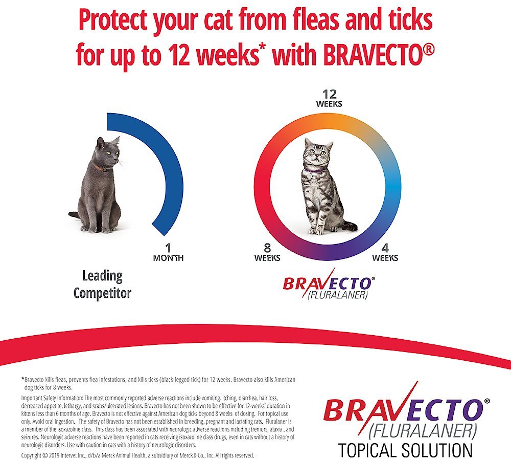 Bravecto sales kills cats