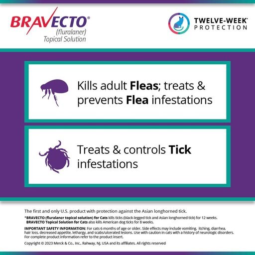 Bravecto Topical Solution for Cats, 13.8-27.5 lbs, (Purple Box), 1 Dose (12-wks. supply)
