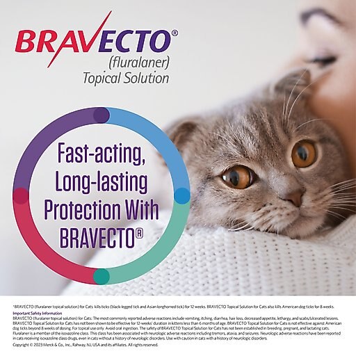 Bravecto Topical Solution for Cats, 13.8-27.5 lbs, (Purple Box), 1 Dose (12-wks. supply)