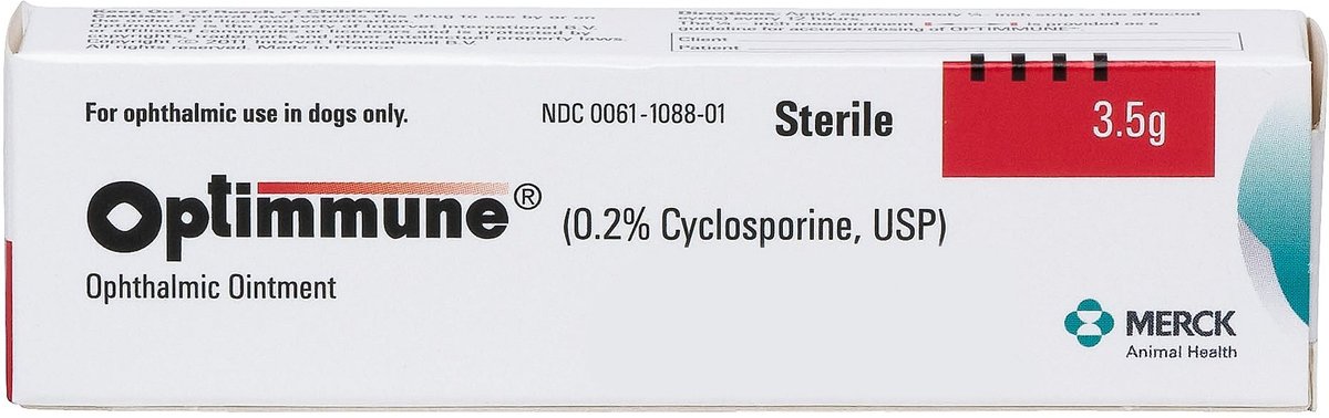 Latanoprost eye hotsell drops for dogs