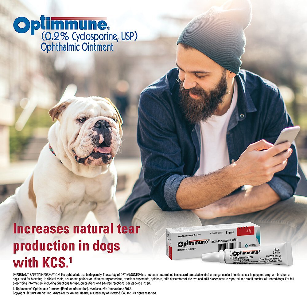 Cyclosporine eye drops clearance for dogs buy online