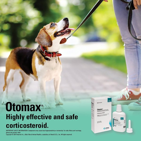 OTOMAX (Gentamicin / Betamethasone / Clotrimazole) Otic Ointment for Dogs, 30g Easy Refills