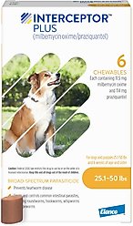Interceptor Plus Chew for Dogs, 25.1-50 lbs, (Yellow Box), 6 Chews (6-mos. supply)