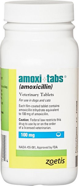 Amoxi-Tabs (Amoxicillin) Tablets for Dogs & Cats, 100-mg, 1 tablet slide 1 of 6