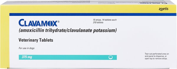 CLAVAMOX Amoxicillin Clavulanate Potassium Tablets for Dogs