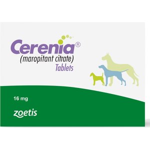 Cerenia® for Dogs: What Is It Used For? | BeChewy