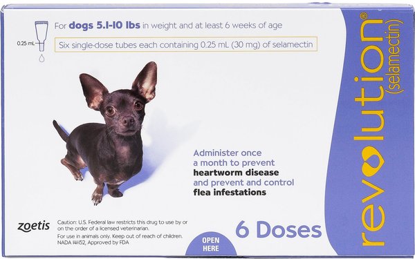 Revolution Topical Solution for Dogs, 5.1-10 lbs, (Purple Box), 6 Doses (6-mos. supply) slide 1 of 5