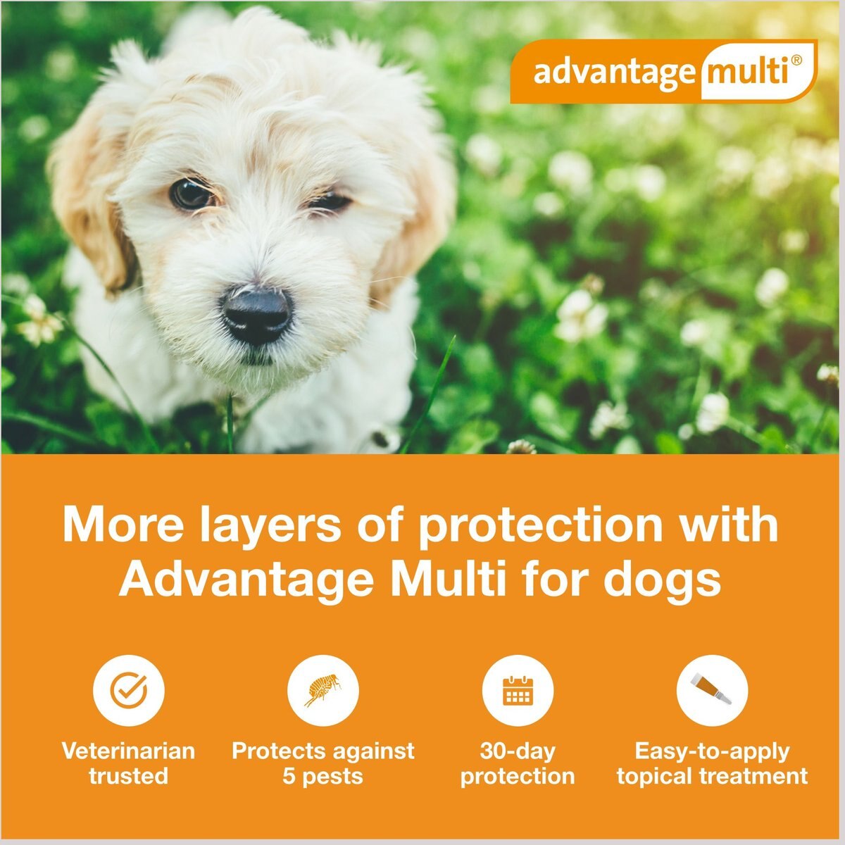 ADVANTAGE MULTI Topical Solution for Dogs, 39 lbs, (Green Box), 6