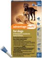 Advantage Multi Topical Solution for Dogs, 55.1-88 lbs, (Blue Box), 6 Doses (6-mos. supply)