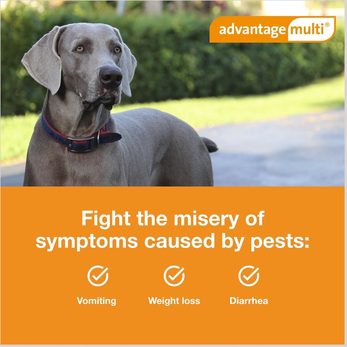 ADVANTAGE MULTI Topical Solution for Dogs, 88.1110 lbs, (Brown Box), 6