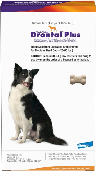 Drontal Plus Chewable Tablet for Medium Dogs, 26-60 lbs, 1 Tablet slide 1 of 7