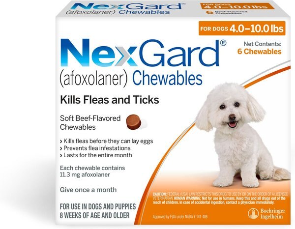 NexGard Chew for Dogs, 4-10 lbs, (Orange Box), 6 Chews (6-mos. supply) slide 1 of 11