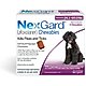 Flea & Tick