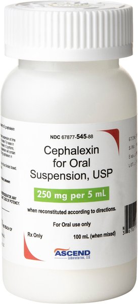Cephalexin (Generic) Oral Suspension for Dogs, 250 mg/5 mL, 100-mL slide 1 of 5