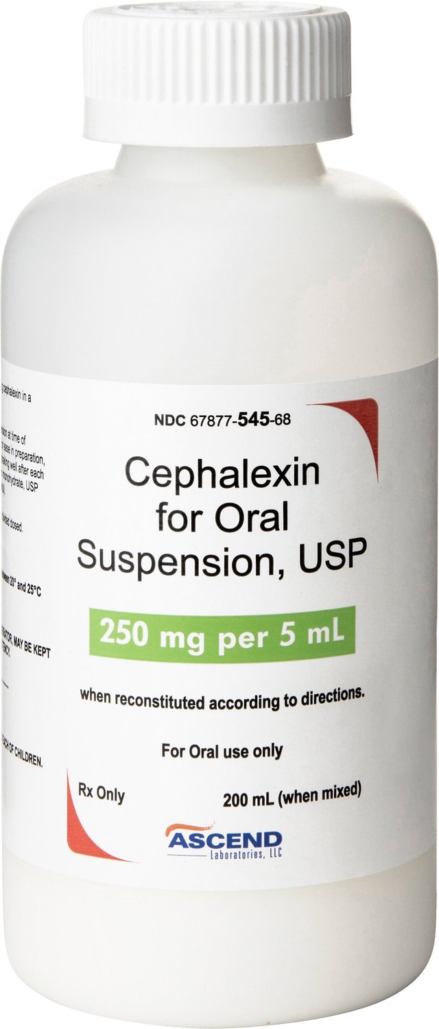 what does cephalexin do for dogs