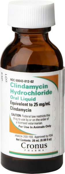 Clindamycin HCl (Generic) Oral Drops for Dogs & Cats, 25 mg/mL, 20-mL slide 1 of 6
