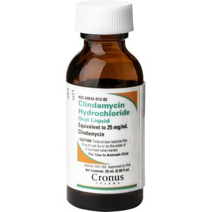 Clindamycin HCl (Generic) Oral Drops for Dogs & Cats, 25 mg/mL, 20-mL