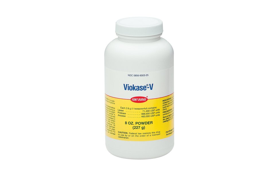 VIOKASE-V Powder for Dogs & Cats, 8-oz - Chewy.com