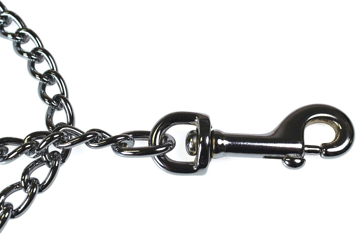 OMNIPET Chain Dog Leash, Blue, Heavyweight, 4ft