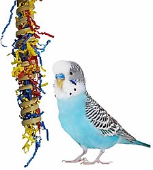 Super Bird Creations Fiesta Millet Holder Bird Toy, Small/Medium