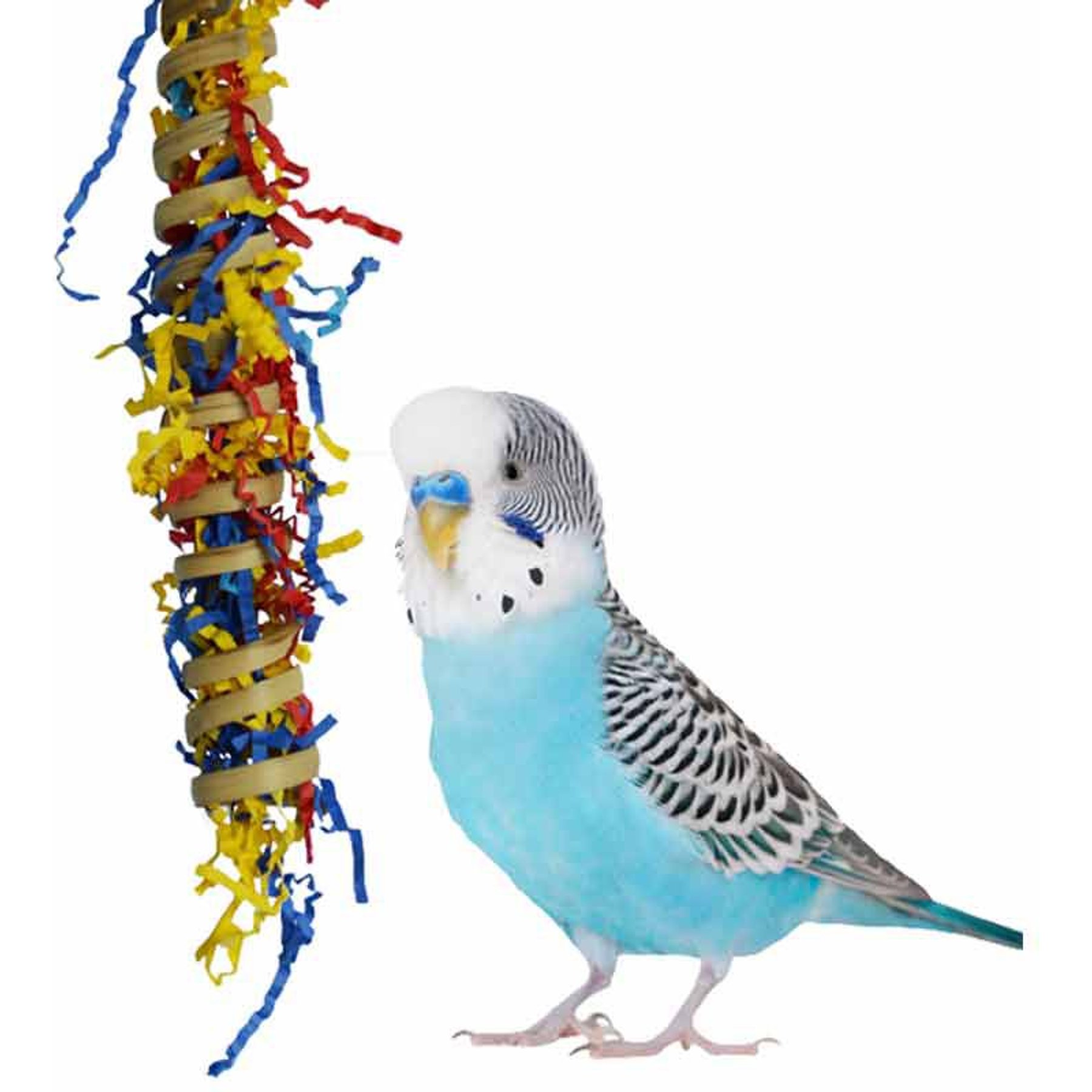 SUPER BIRD CREATIONS Rope Bungee Bird Perch, Color Varies, Small 