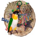 Super Bird Creations Busy Birdie Play Perch Bird Toy, Small/Medium