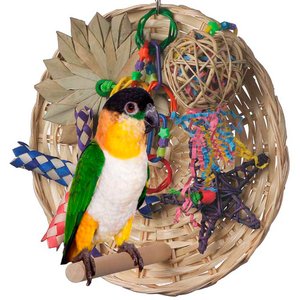 Super Bird Creations Busy Birdie Play Perch Bird Toy, Medium