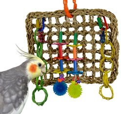Super Bird Creations Mini Activity Wall Bird Toy, Medium