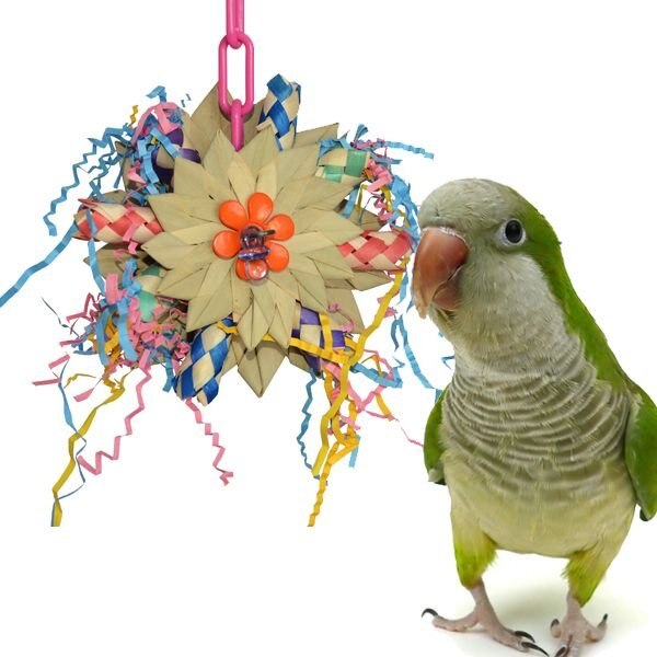Medium Large Rainbow Earth Acrylic Bird Toy Mental Physical Stimulation Birds 