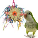 Super Bird Creations Pinwheel Bird Toy, Medium