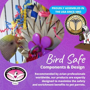 Super Bird Creations Pinwheel Bird Toy, Medium