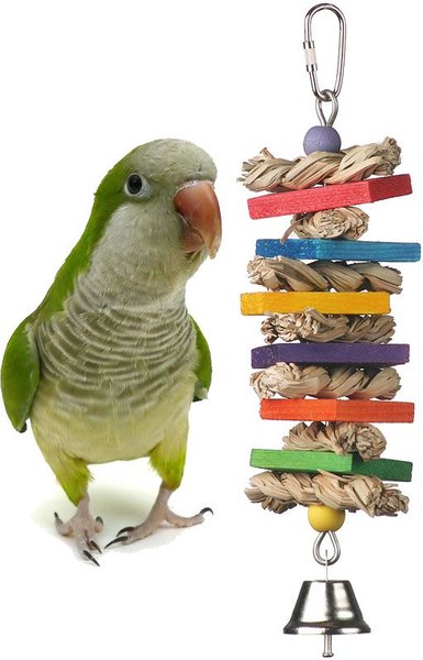 Super Bird Creations Seagrass Wafers Bird Toy, Medium slide 1 of 9